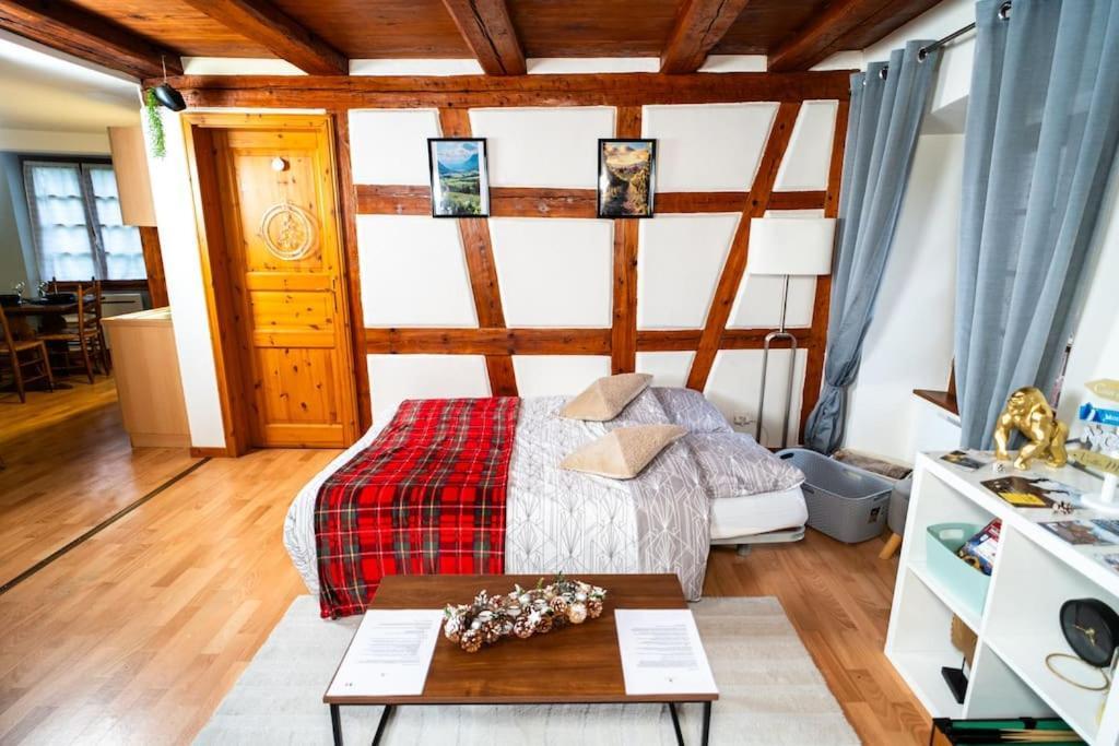 Appartement Refuge Des Vignerons - Turckheim